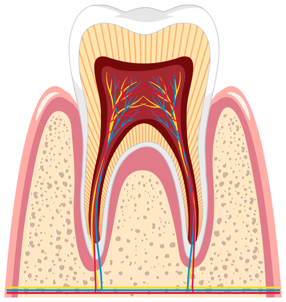 Root Canal Treatment